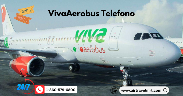 Vivaaerobus Telefono