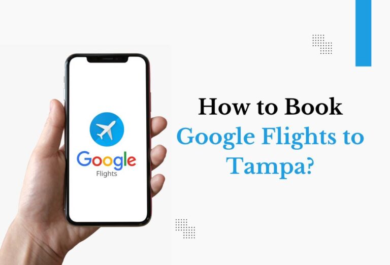 How to Book Google Flights to Tampa?